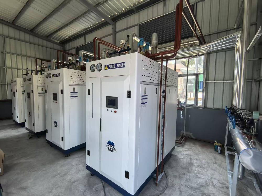 2026年1月增城某电子厂4台0.5T蓝希牛蒸汽发生器